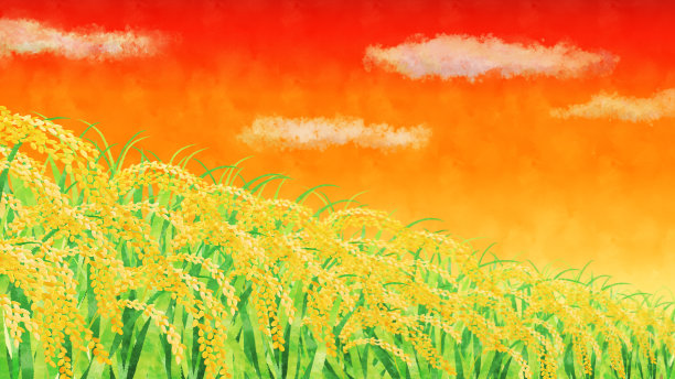 金色稻田日落剪贴图像图片下载