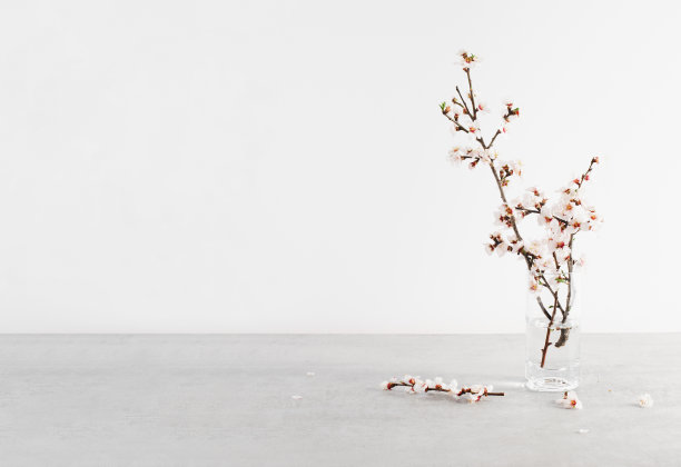 樱花，明亮背景下的春花，复活节快乐，3月8日，假期，春天概念图片下载