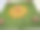 为庆祝排灯节而设计的gulal rangoli特写图片，用彩色粉末颜料在白色尖桩围栏围成的草地上绘制的图案，庆祝节日的灯光，高架视图图片下载