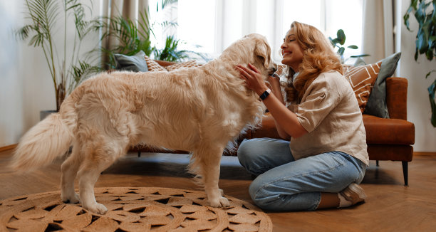 家里有狗的夫妇图片下载
