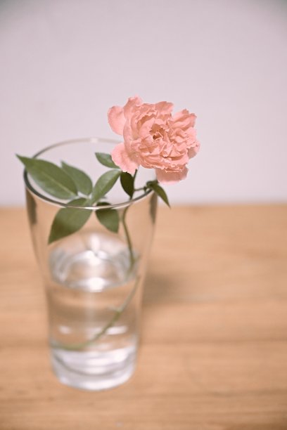 木桌上装着粉红色玫瑰的玻璃杯图片下载