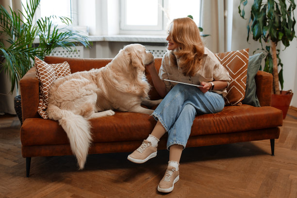 家里有狗的夫妇图片下载