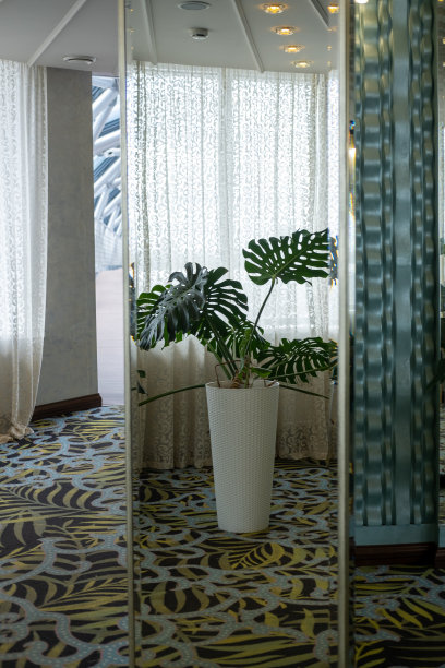 户外白色的大绿叶花瓶，铺在有图案的地毯上，房间里有白色的窗帘、倒影，图片下载