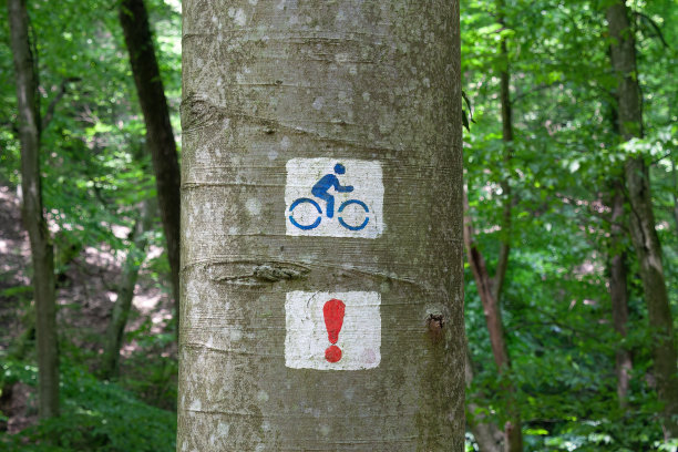 树上画着自行车徒步的标志。图片下载