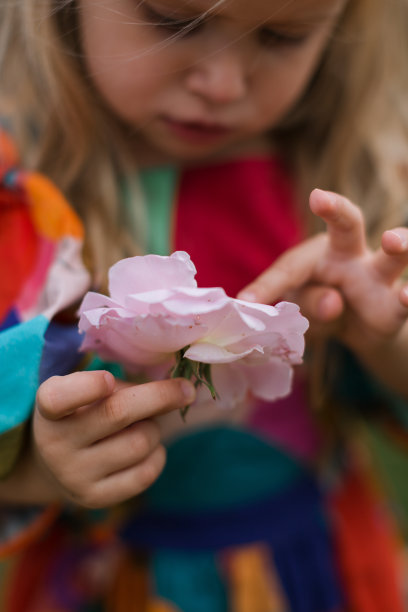小女孩在盛开的玫瑰园的特写肖像。可爱、美丽、可爱的孩子在夏天阳光明媚的日子里，在公园里与玫瑰和鲜花玩耍。快乐微笑的宝贝。图片下载