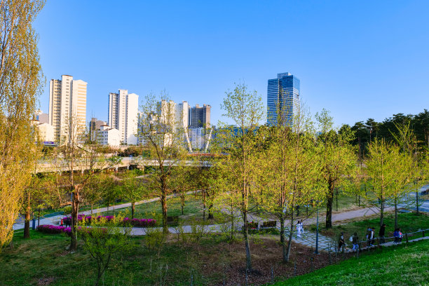 市区天际线与湖泊的景观。韩国水原光桥湖公园图片下载