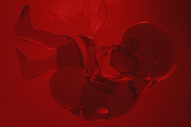 人类胚胎插图。生殖和生殖的主题图片下载