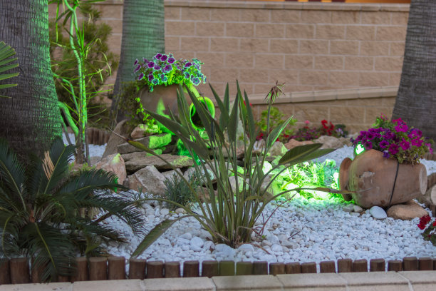 美丽的装饰花与绿色照明在院子里的花园，有一个地方铭文。高质量照片图片下载