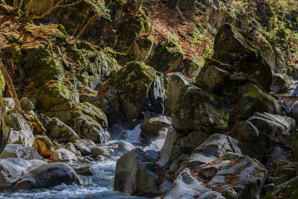 西泽峡谷里长得像青蛙的岩石图片下载