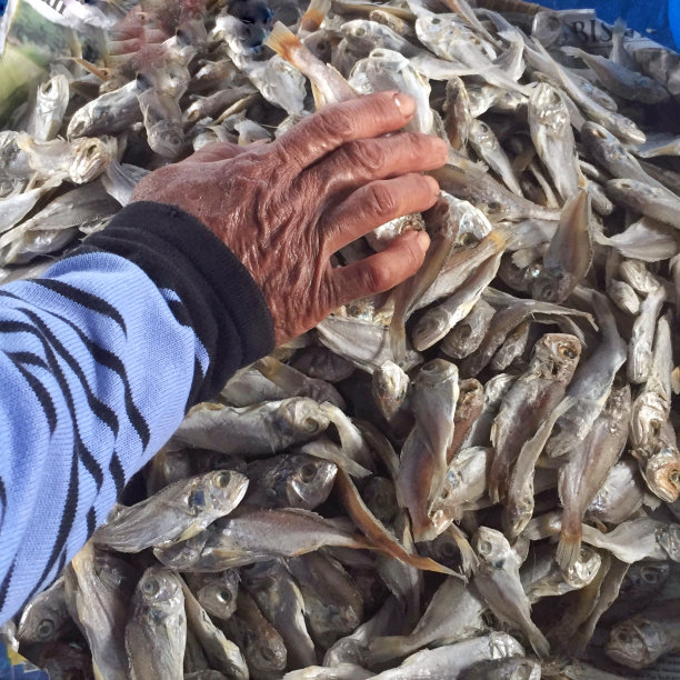 在传统市场上，一位老妇人布满皱纹的双手正在挑选成堆的咸鱼。图片下载