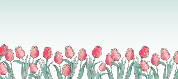 精致的花卉背景文字和照片与手绘粉红色郁金香。背景明信片，邀请，文凭，名片，海报图片下载