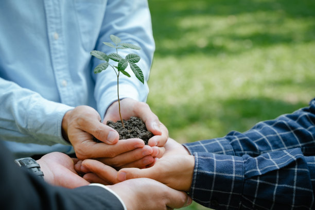 一群志愿者手里拿着小植物。世界环境日理念，社区服务和自然团体志愿者为可持续发展的环境。志愿者植树是在照顾世界。图片下载