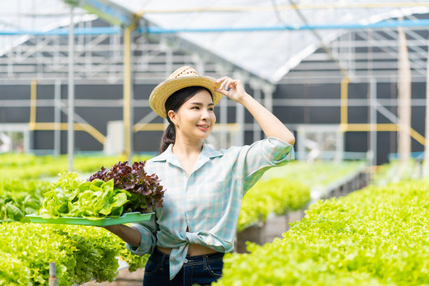亚洲女农民在水培农场提着装满新鲜蔬菜沙拉的篮子聪明的年轻妇女或有机农场的农艺师绿色蔬菜产品的质量控制检验图片下载
