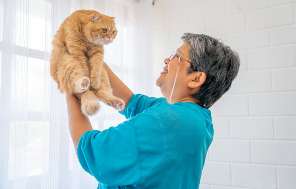 亚洲老年妇女抱着猫，微笑着站在白色窗帘的玻璃窗前，在他们的房子里，他们看起来很幸福。图片下载