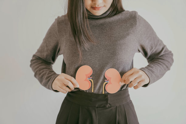 手握肾形，慢性肾病，肾功能衰竭概念图片下载