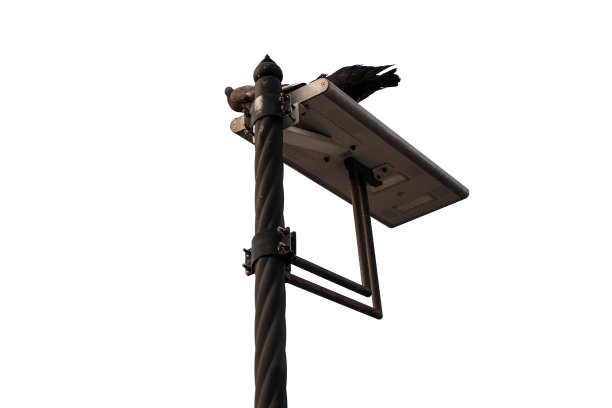 街上的灯柱图片下载