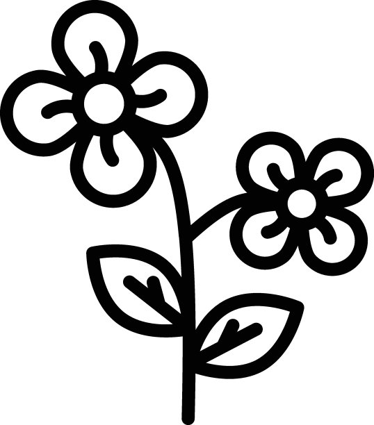 芸苔科矢量线图标设计，调味品和香料符号，食品烹饪配料符号，草药和佐料库存插图，绿色芸苔概念，图片下载