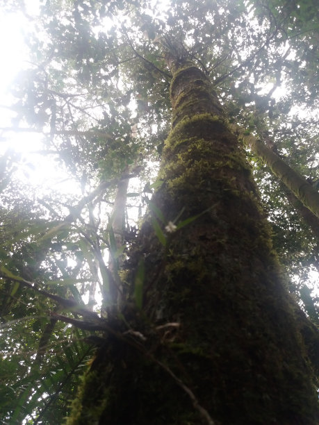 吉隆坡和沙巴图片下载