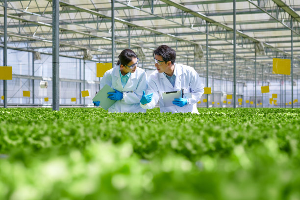 两位亚洲研究员探讨现代温室的低视角图片下载