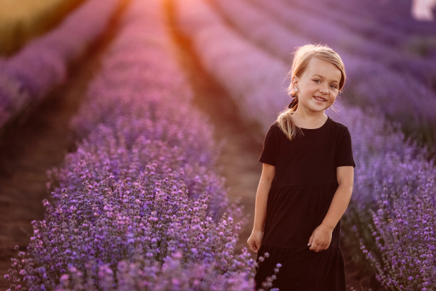 一个可爱女孩的肖像，手里拿着一束薰衣草花。夕阳下，一个孩子走在薰衣草的田野里。暑假里，穿着黑色连衣裙的孩子在大自然中玩耍。图片下载