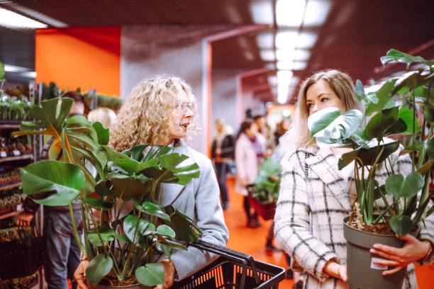 两个漂亮的朋友在花园中心散步，手里拿着两个寺院。成功的购买。图片下载