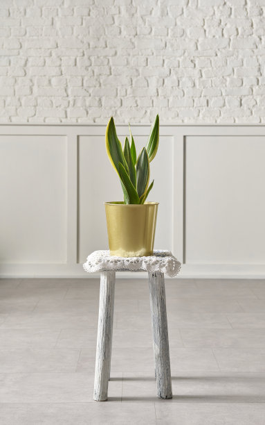 白色的砖墙和木凳上的花朵。图片下载