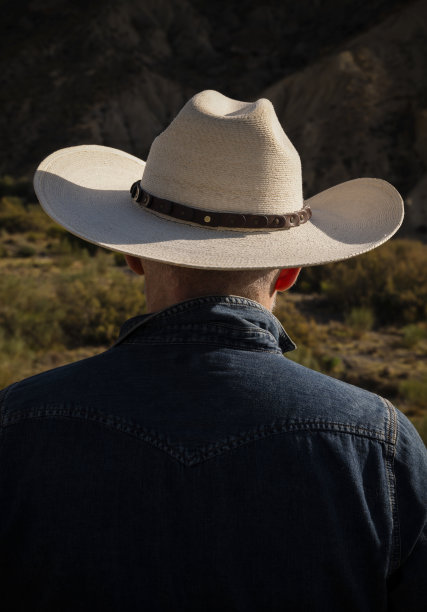 沙漠中戴牛仔帽的成年男子的后视图图片下载