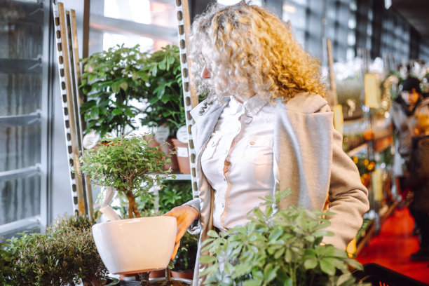 难以辨认的金发卷发在花园中心为冬季花园挑选植物。含蓄的植物。的爱好。图片下载