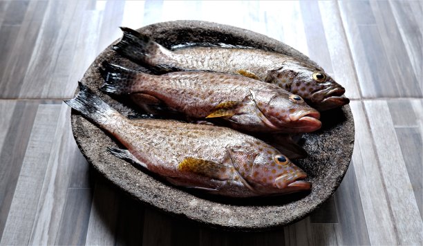 石碗上的新鲜石斑鱼。Epinephelinae。图片下载