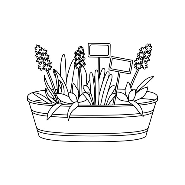 矢量插图的风信子花与木标志在锡罐。概述园艺绘图。图片下载