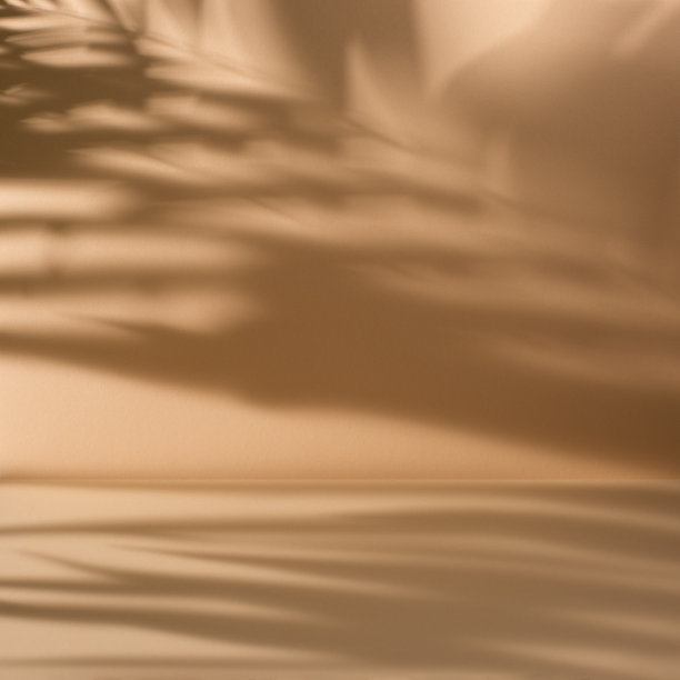 柔和的橙色抽象背景与棕榈叶阴影图片下载