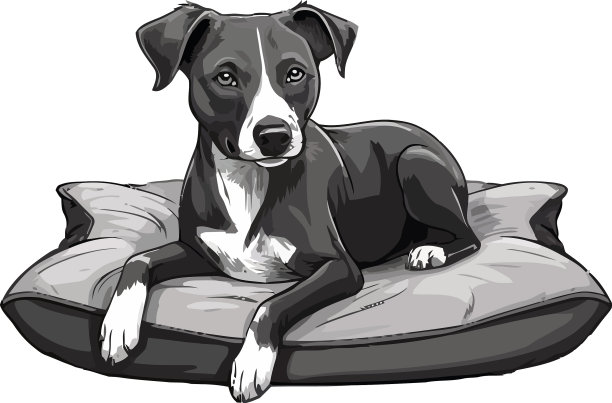 可爱的小狗坐在舒适的枕头上图片下载