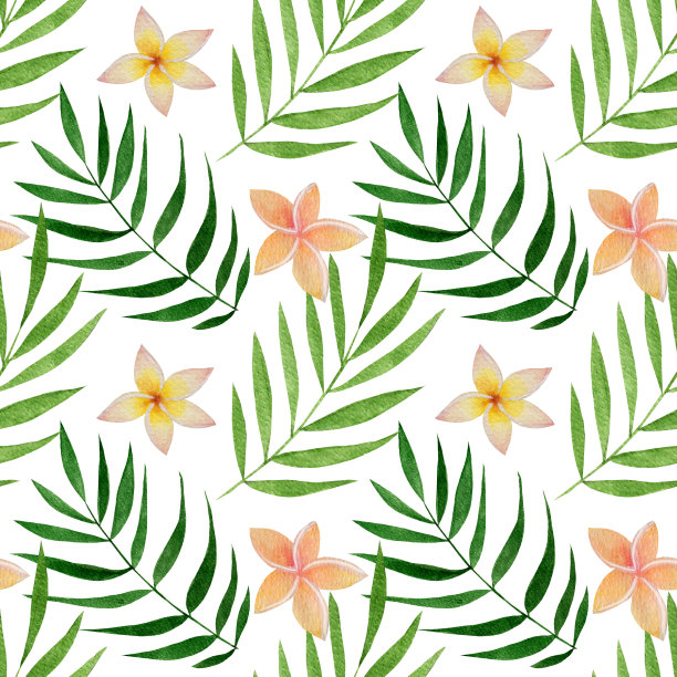 水彩简单的夏季图案与鸡蛋花和棕榈叶在白色的背景。图片下载