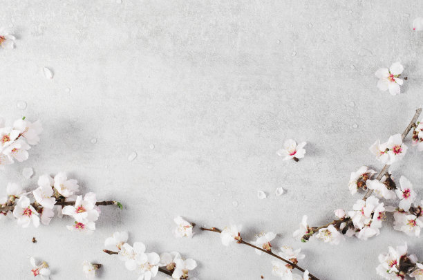 樱花，明亮背景下的春花，复活节快乐，3月8日，假期，春天概念图片下载