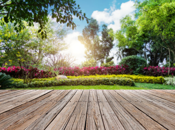 公园里的木制人行道图片下载