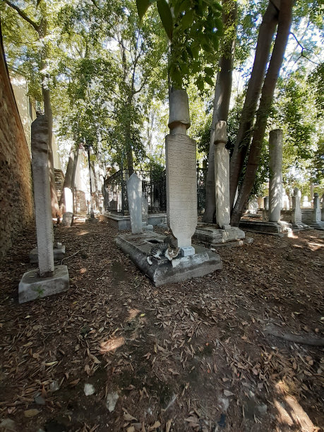 土耳其伊斯坦布尔图片下载