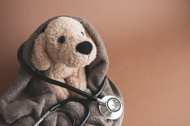 犬类疾病，宠物保险，动物医院形象图片下载