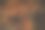 顽皮的狐狸在阳光下玩耍图片下载