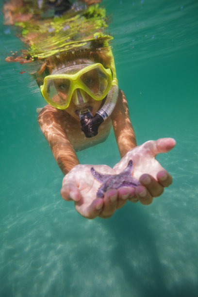 戴着通气管和面具的孩子在水下，手上拿着海星图片下载