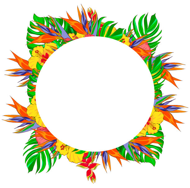 热带的花和树叶。手绘插图，孤立在白色背景上。图片下载