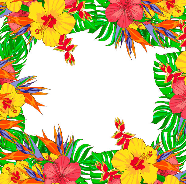 热带的花和树叶。社交媒体模板。手绘插图，孤立在白色背景上。图片下载