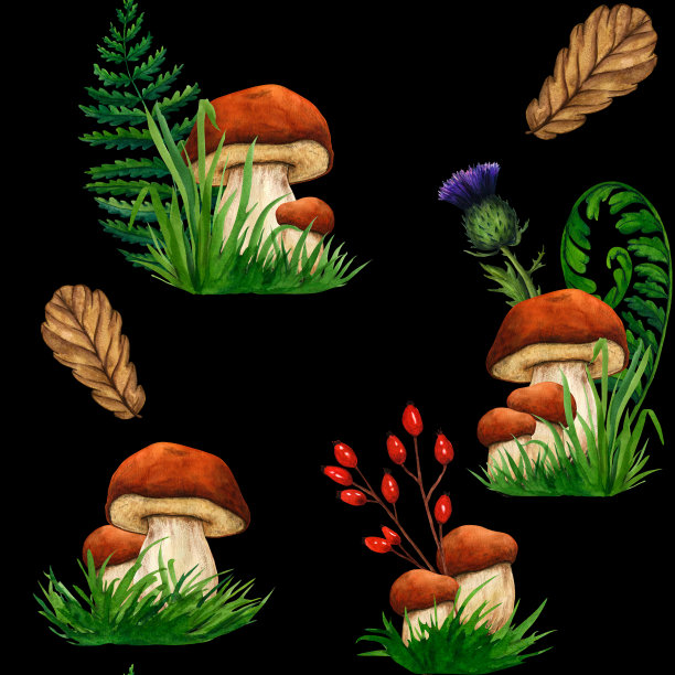 水彩无缝图案野生森林蘑菇牛肝菌。自然森林草坪景观。野生景观。孤立的生态自然插图黑色背景图片下载