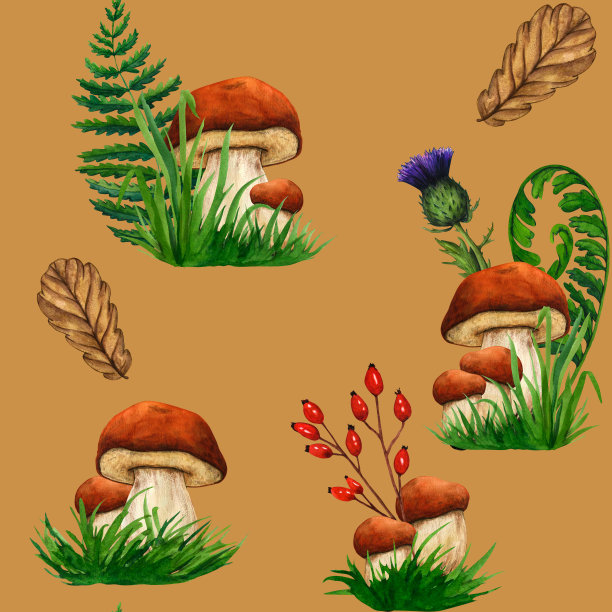 水彩无缝图案野生森林蘑菇牛肝菌。自然森林草坪景观。野生景观。孤立的生态自然插图米色背景图片下载