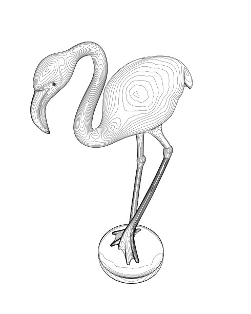 轮廓火烈鸟矢量插图隔离在白色背景。奇异的热带鸟类。动物园动物收藏。可爱的卡通人物。装饰元素。平面设计。白色背景。孤立。图片下载