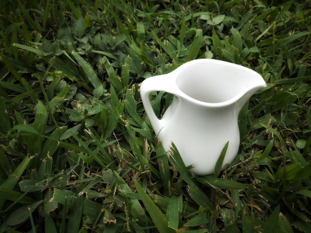 绿草背景的杯子图片下载