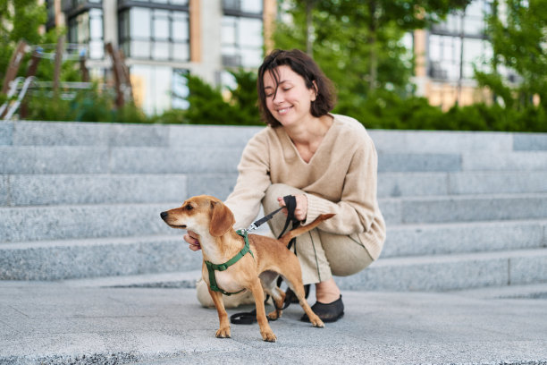 女孩拥抱狗宠物可爱可爱的红狗友好的特写有趣的动物图片下载
