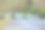 美丽的狗走在哥斯达黎加的乡村公路上图片下载