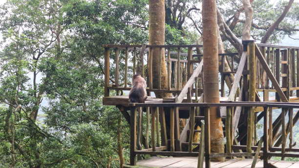 长时间的日志图片下载