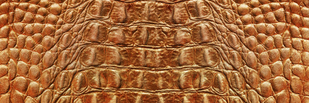 全景真皮纹理背景特写浮雕下皮肤爬行动物，金棕色印刷图片下载