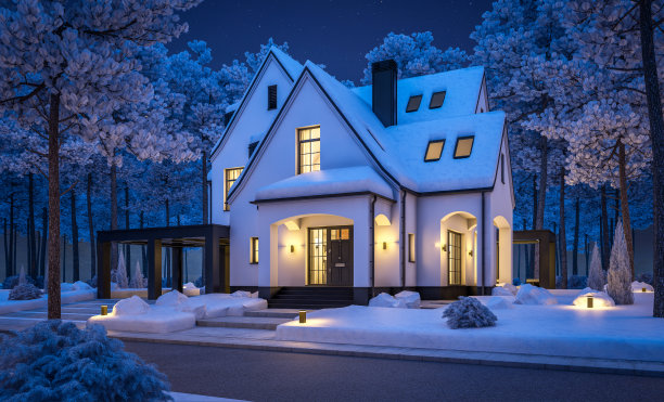 冬夜的黑白现代都铎式房屋3d渲染图图片下载